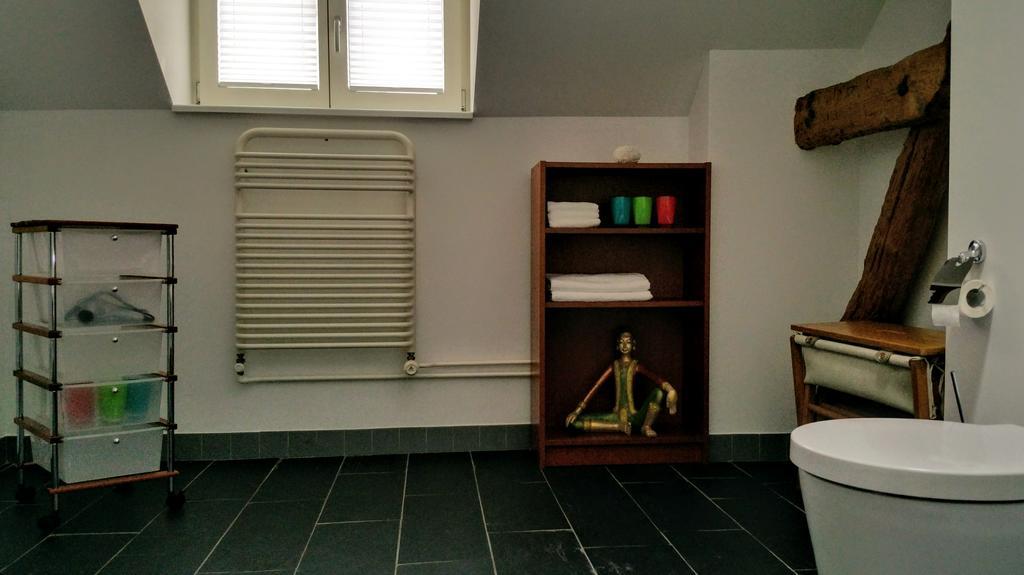 Rooms-Zimmer Neuhausen Am Rheinfall Εξωτερικό φωτογραφία